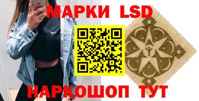 индика Брянск