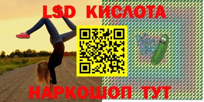 индика Брянск
