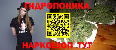 индика Брянск