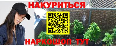 стаф Боровичи