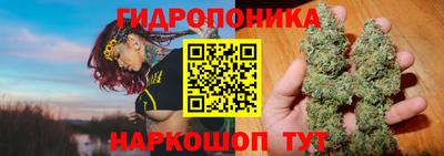 стаф Боровичи