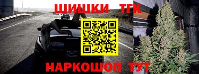 индика Брянск