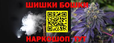 индика Брянск