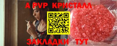 стаф Боровичи