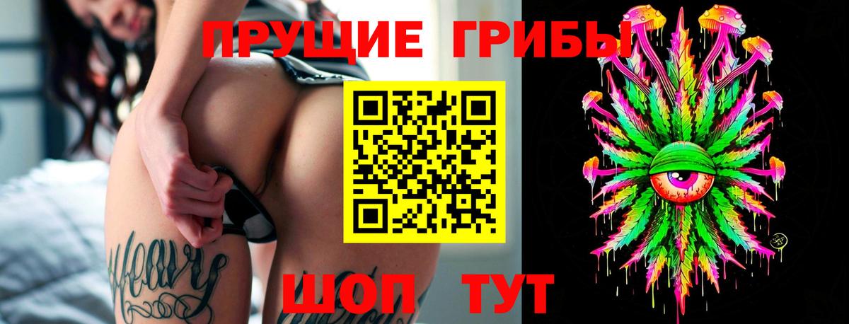 Псилоцибиновые грибы MAGIC MUSHROOMS  Вход с VPN  Псилоцибиновые грибы ЛСД  Грозный 