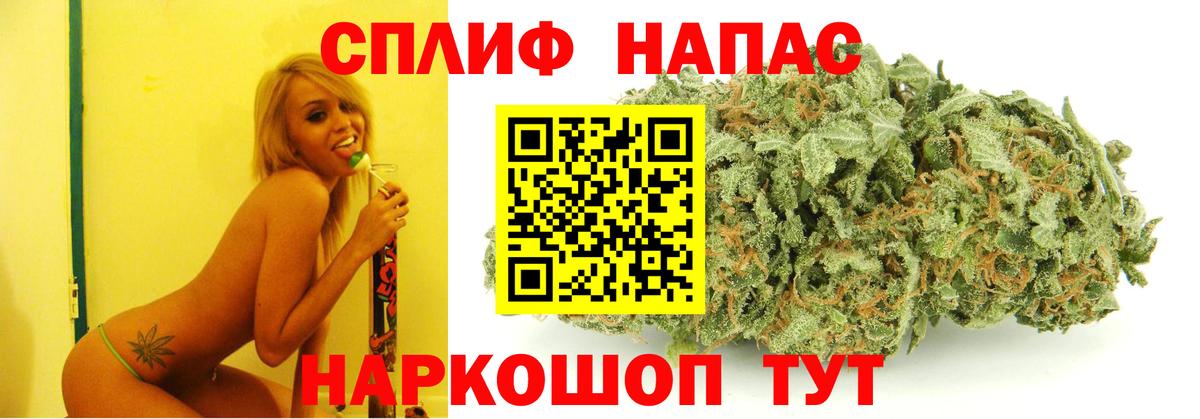 Бошки Шишки планчик  Вход с VPN  Каннабис семена  Марихуана Bruce Banner  Грозный 